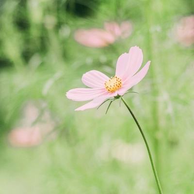 阿根廷中部地区发生6.0级地震