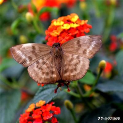 食材不合格！绍兴一餐厅，被罚！