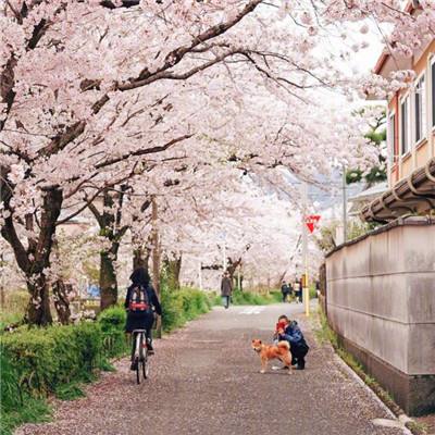 北京今夜至明天将迎明显降雨降温过程 明日最高温仅19℃